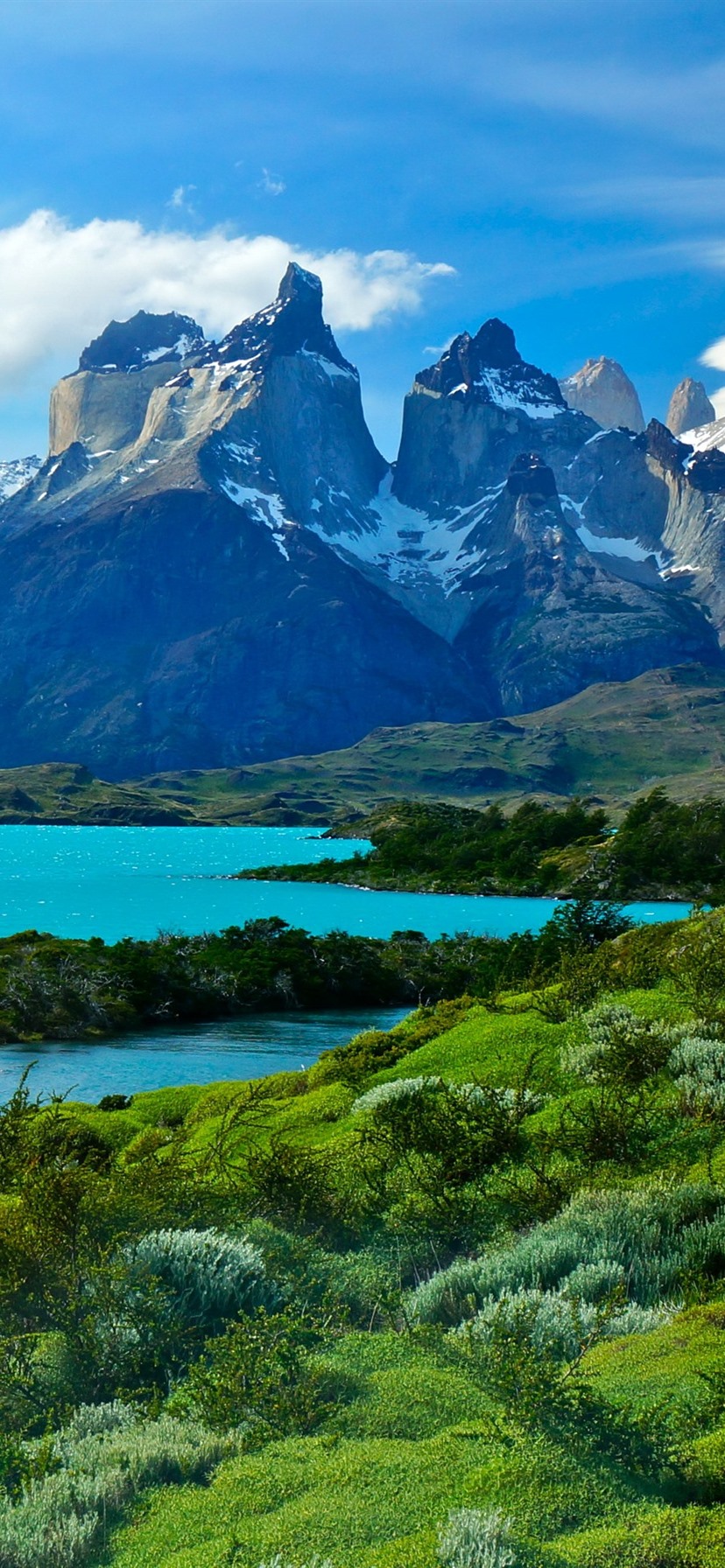 Chile, Patagonia, Lake, Mountains, Green, Nature 828x1792 IPhone 11 XR Wallpaper, Background, Picture, Image