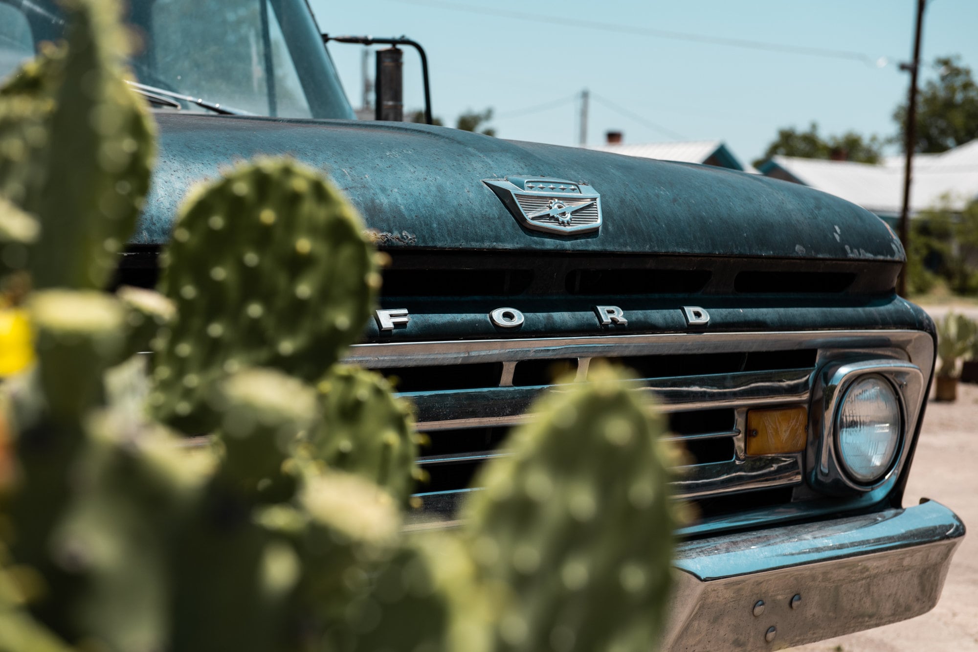 Old Ford Truck and Cactus in Marfa Texas. West Texas Print. Texas Photography. Vintage Ford Truck. Vintage Car Art. Antique Truck Photo