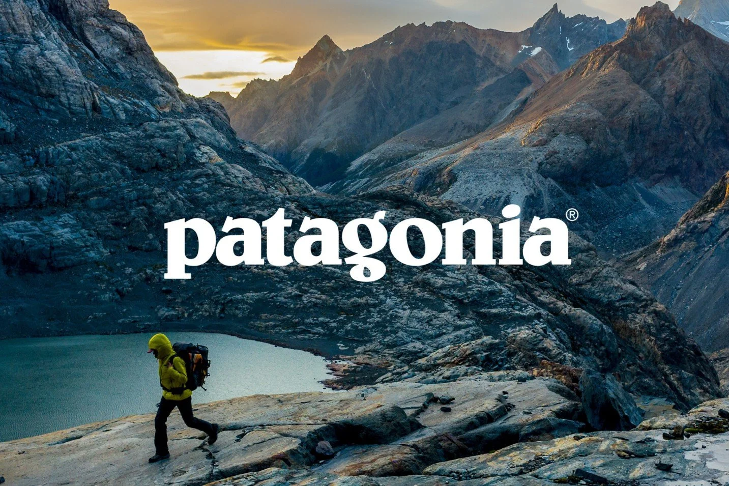 The Patagonia Brand Story years of purpose