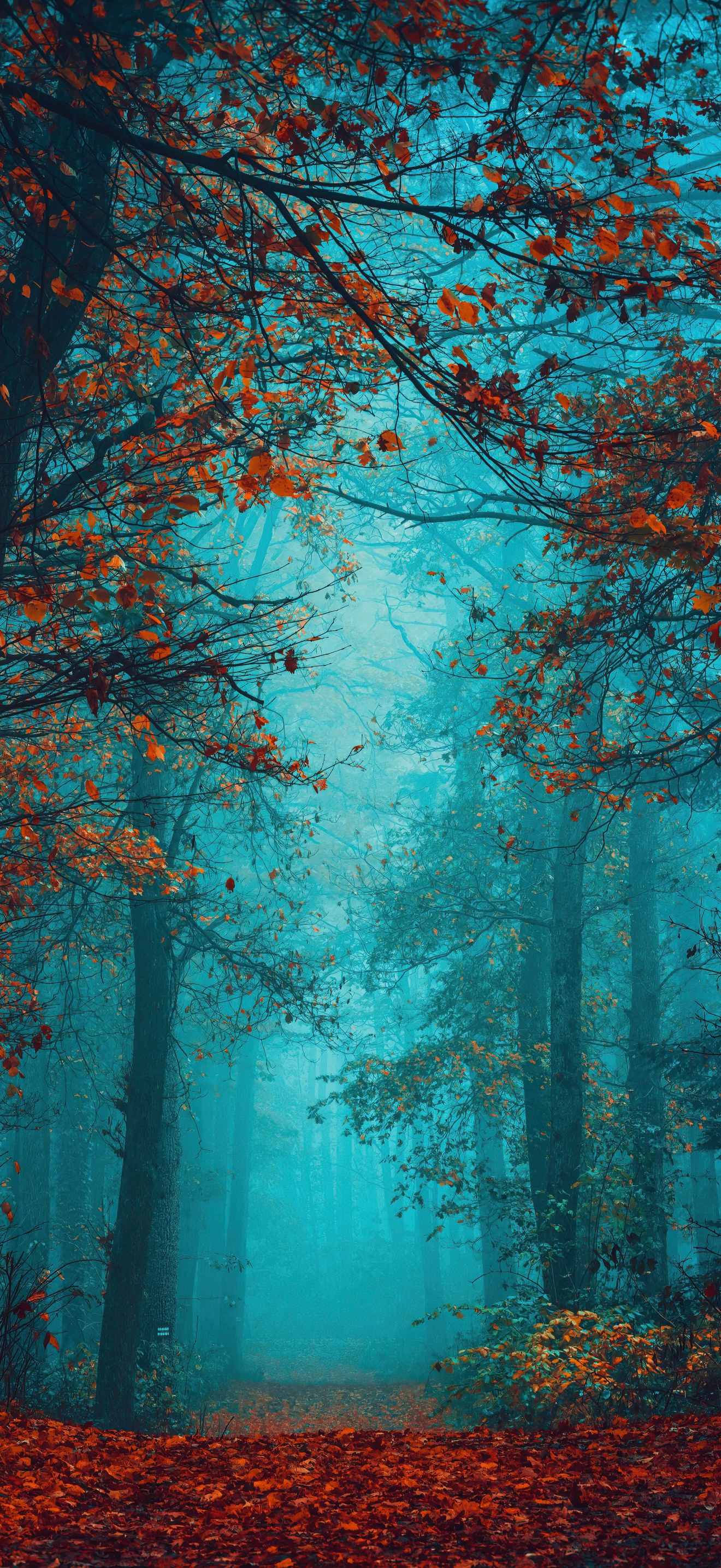iPhone 16 Pro Max Autumn Wallpapers - Wallpaper Cave
