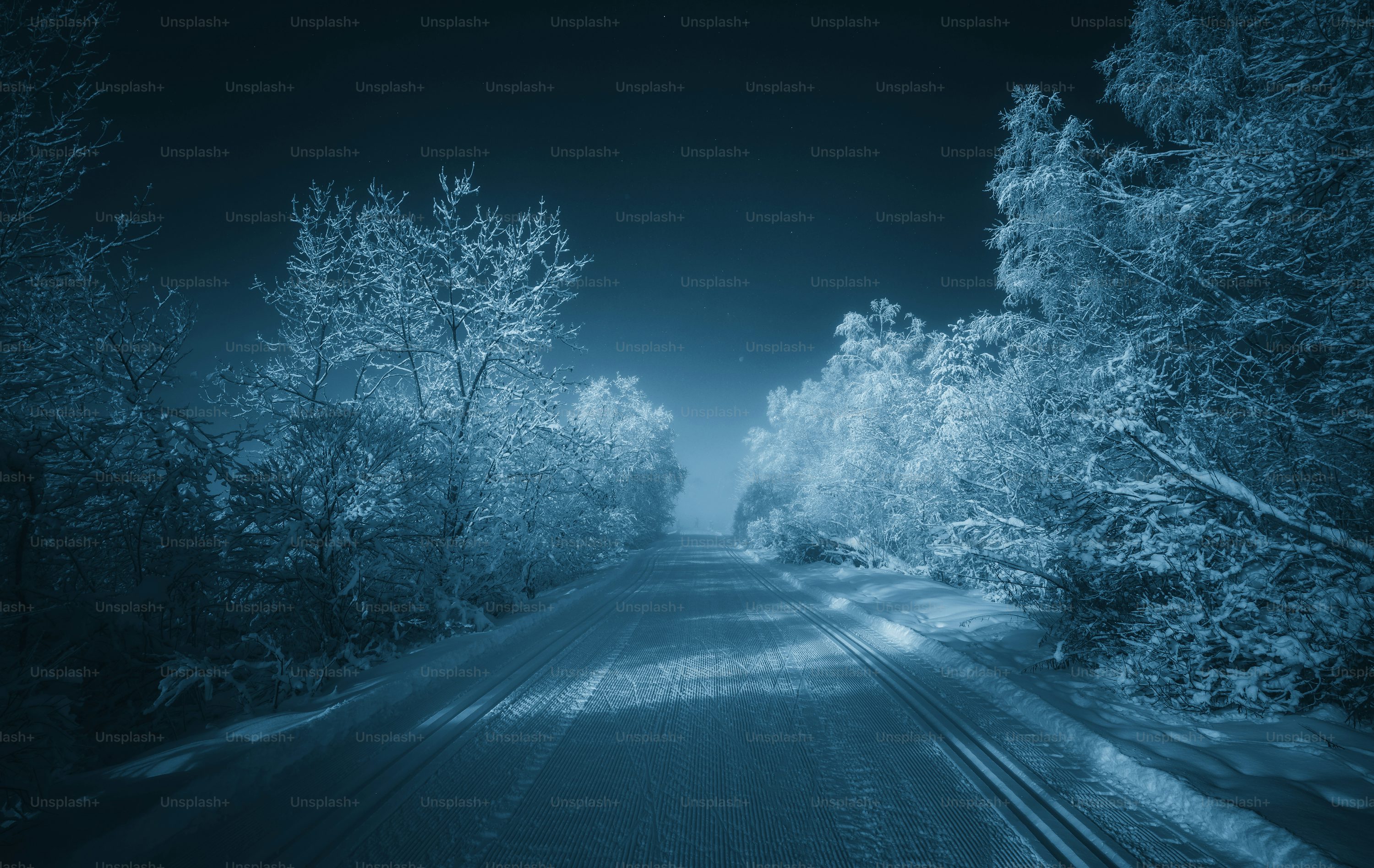 A snowy road with trees and tracks in the snow photo