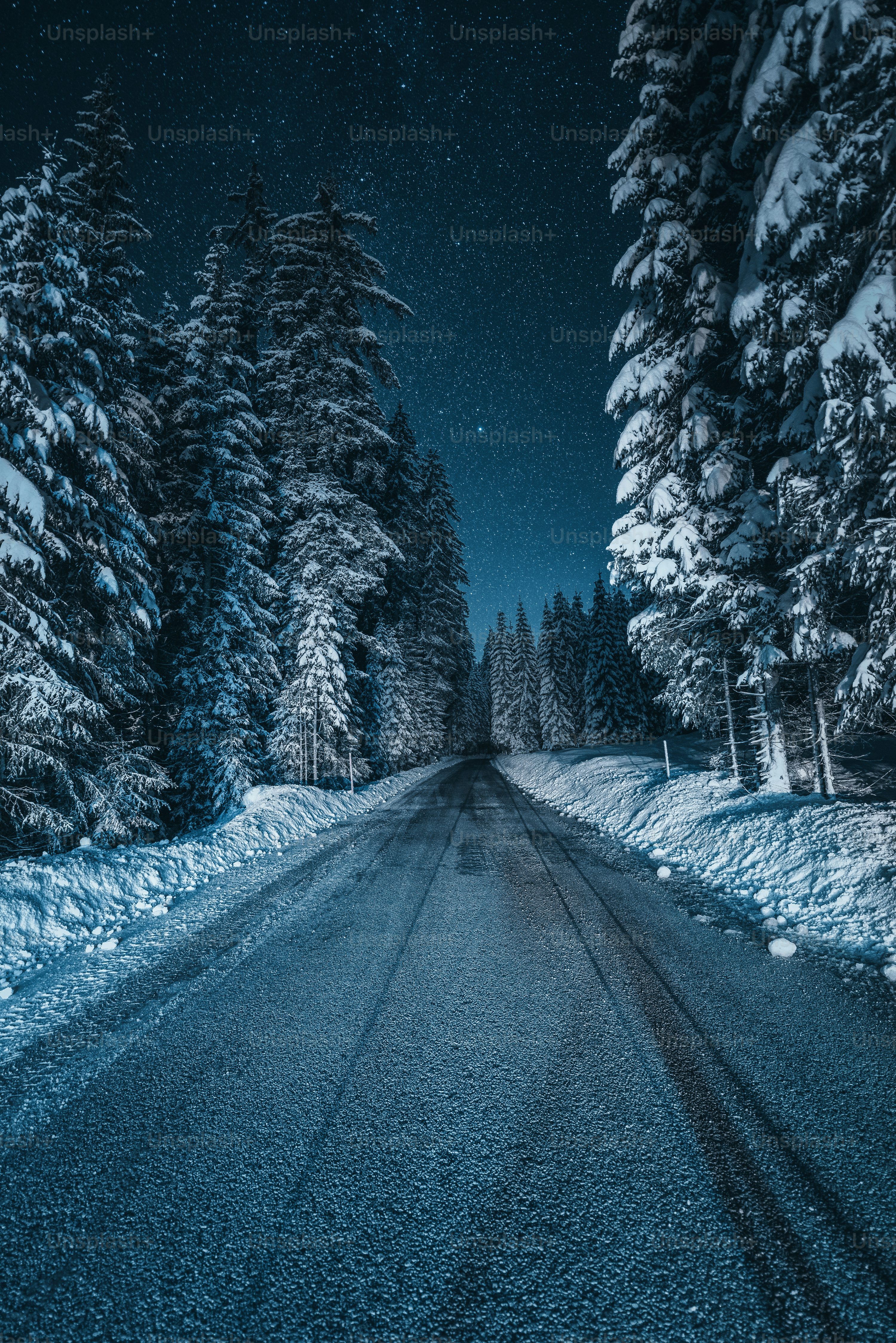 A road in the middle of a snow covered forest photo