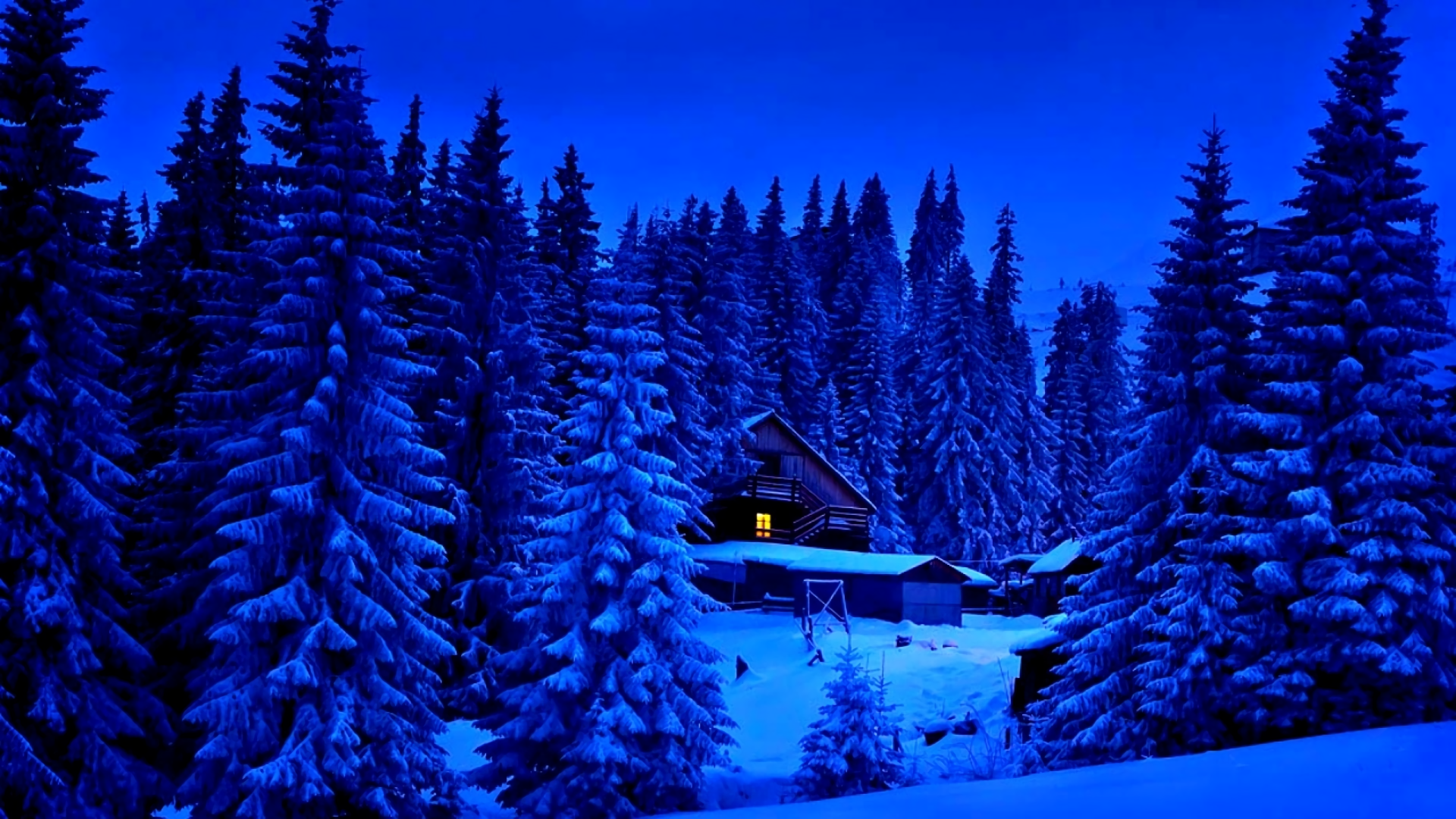 Winter Glow: Cozy Cabin Amidst Blue Snowy Pines HD Wallpaper