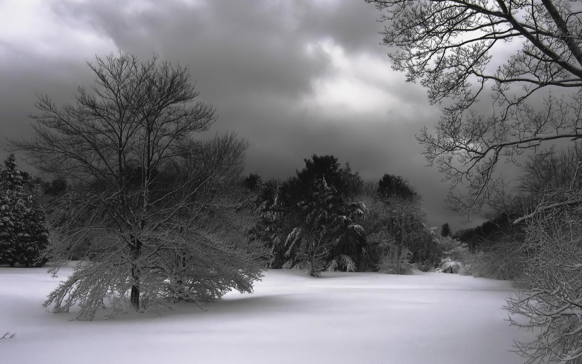 3D Winter Desktop Wallpaper