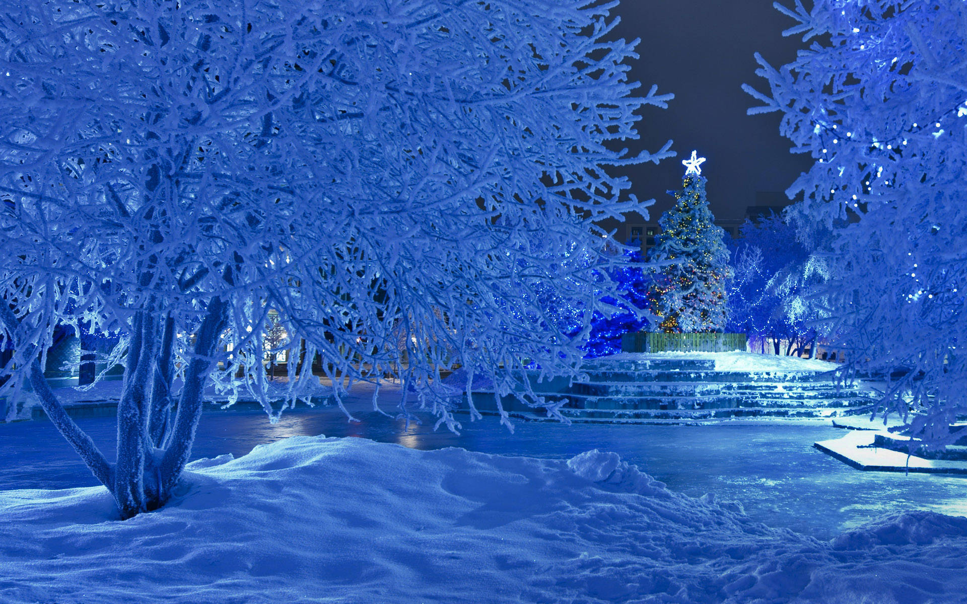 Download Winter Christmas Icy Snow Wallpaper