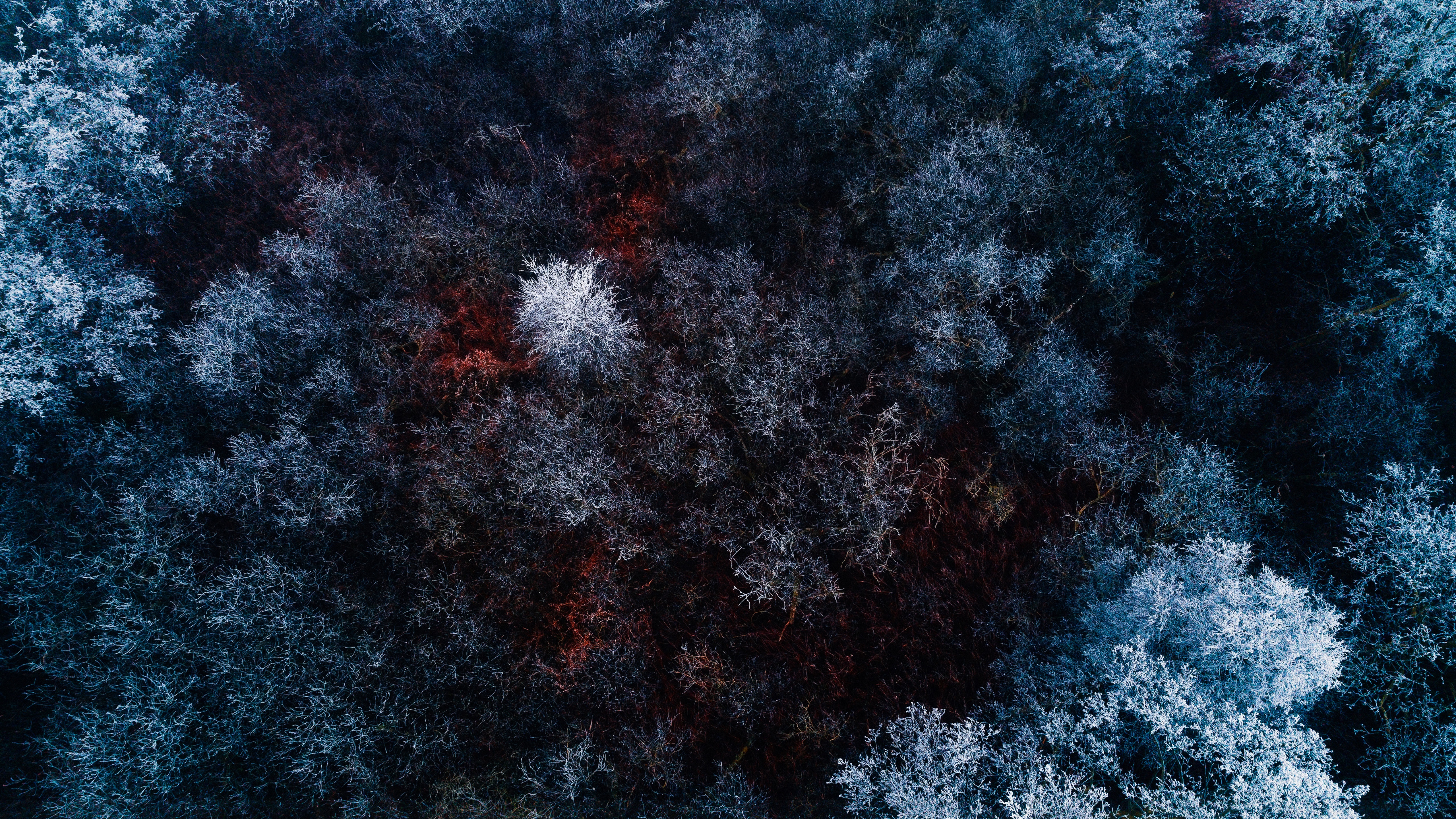 Winter forest Wallpaper 4K, Aerial view, Snow covered