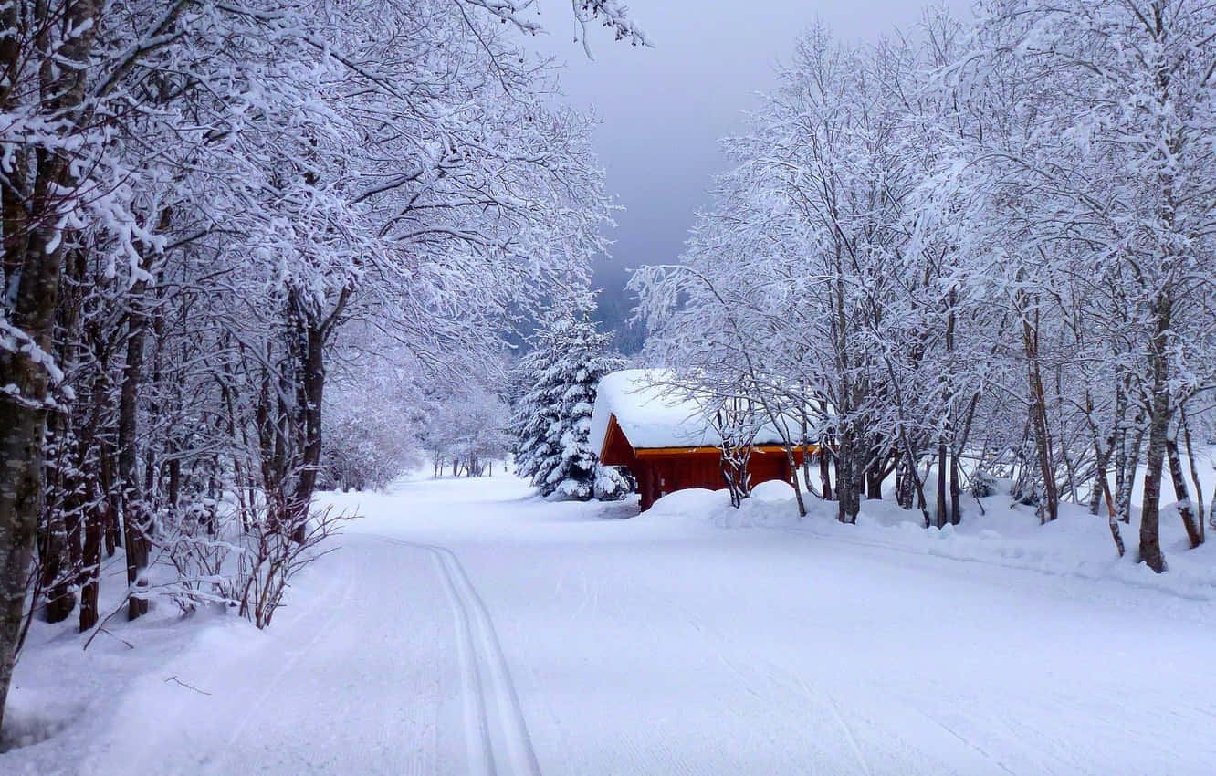 Snowy Road Wallpaper