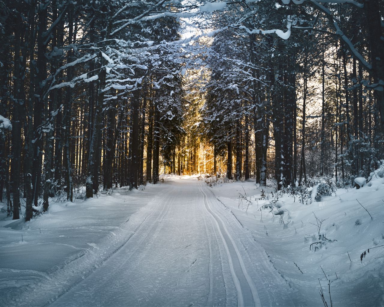 Download wallpaper 1280x1024 winter, snow, road, trees standard 5:4 HD background