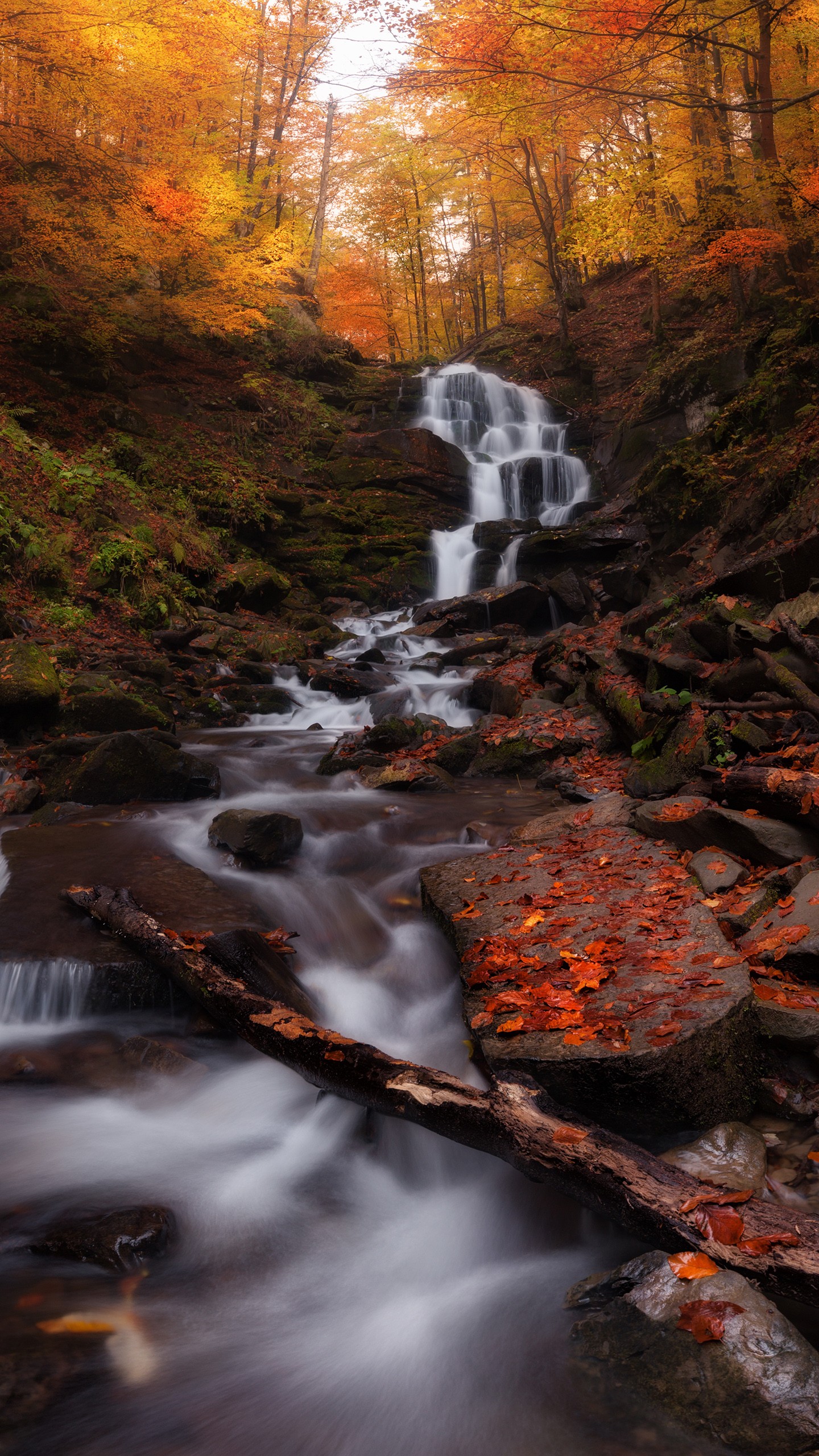 Autumn forest Waterfall 4K 8K Wallpaper