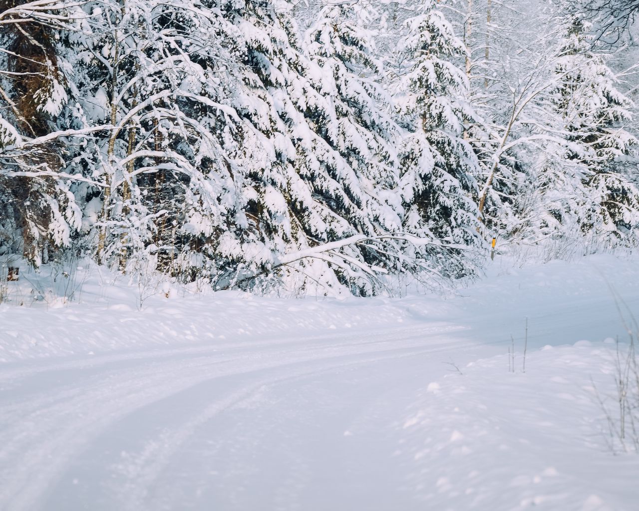 Download wallpaper 1280x1024 forest, snow, road, snowy, winter standard 5:4 HD background