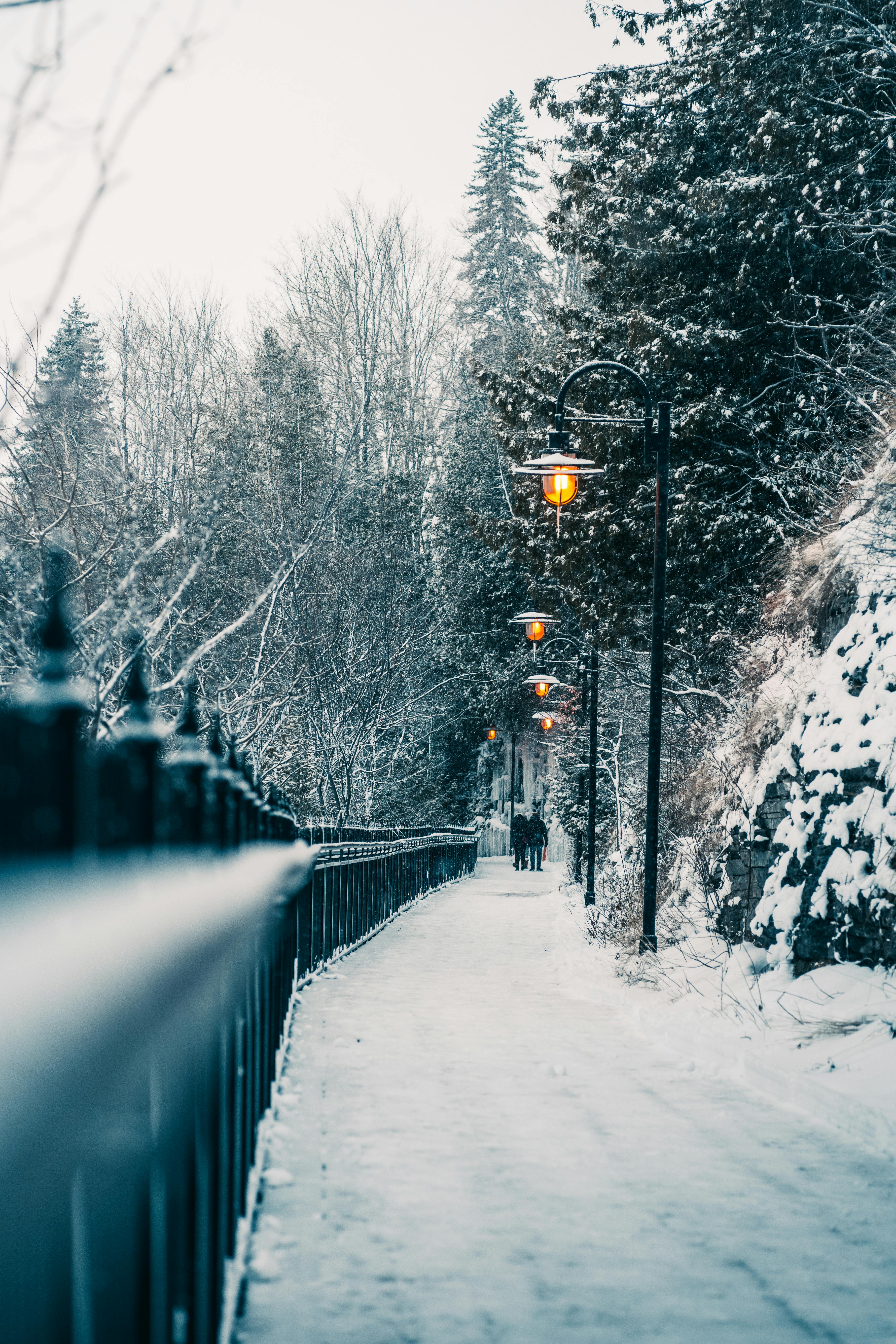 Winter Pathway in Snowy Québec City Park · Free