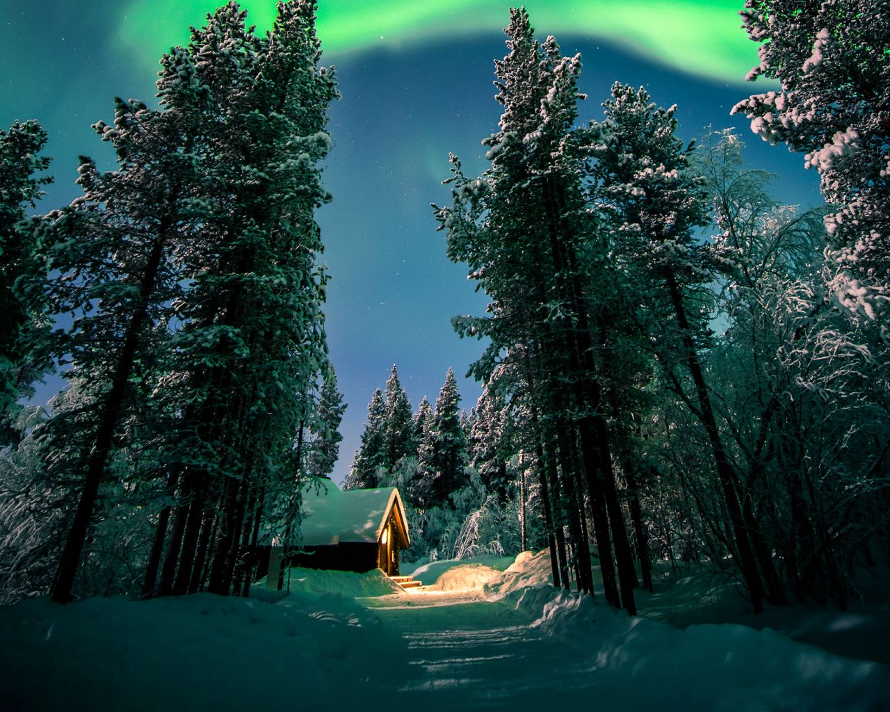 Download wallpaper 1280x1024 northern lights, aurora, forest, snow, night, winter standard 5:4 HD background