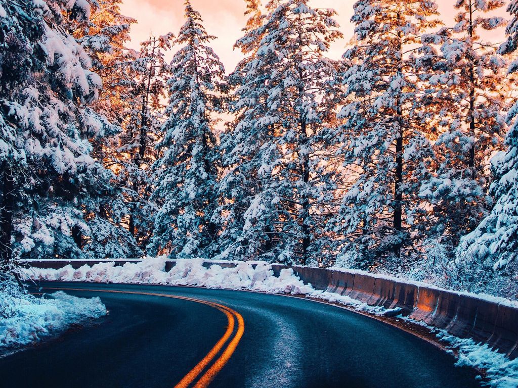 Snowy Forest Road Wallpaper, HD Snowy Forest Road Background on WallpaperBat