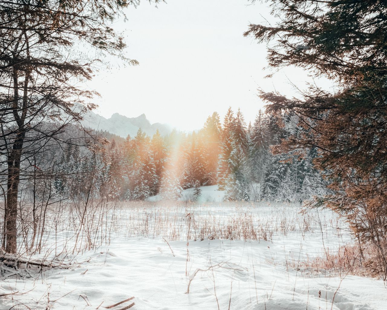 Download wallpaper 1280x1024 forest, edge, snow, sunlight, winter, landscape standard 5:4 HD background