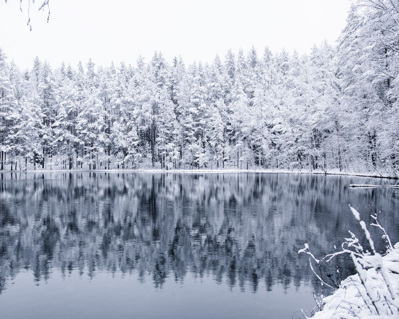 Download wallpaper 1280x1024 winter, forest, lake, snow, reflection standard 5:4 HD background