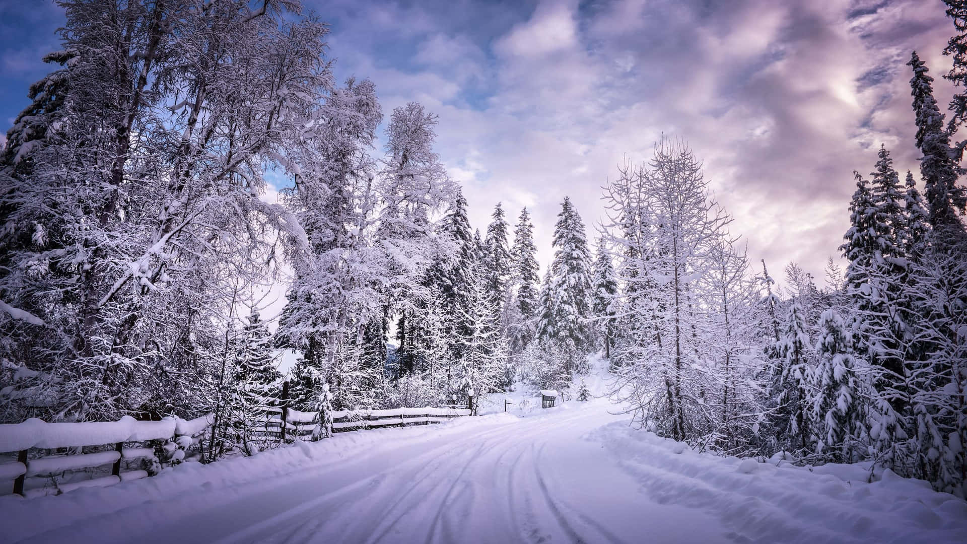 Download Icy Road in Winter Landscape Wallpaper