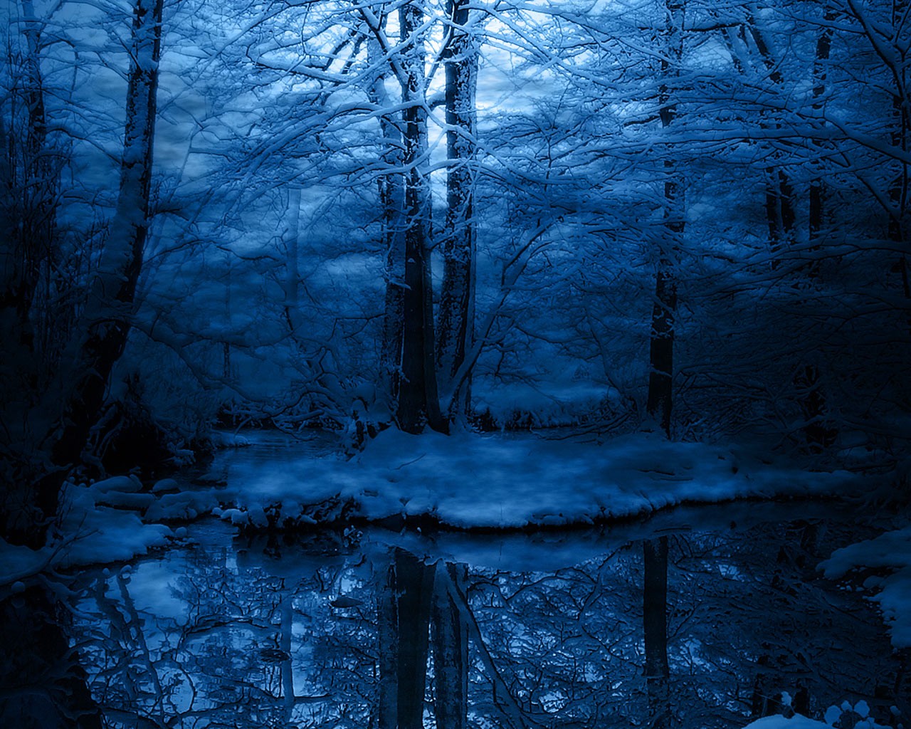 wood, Winter Wallpaper HD / Desktop and Mobile Background