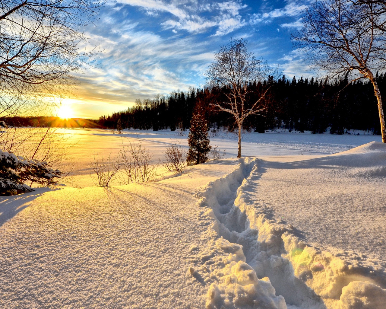 Path in the snowy forest at dawn Desktop wallpaper 1280x1024