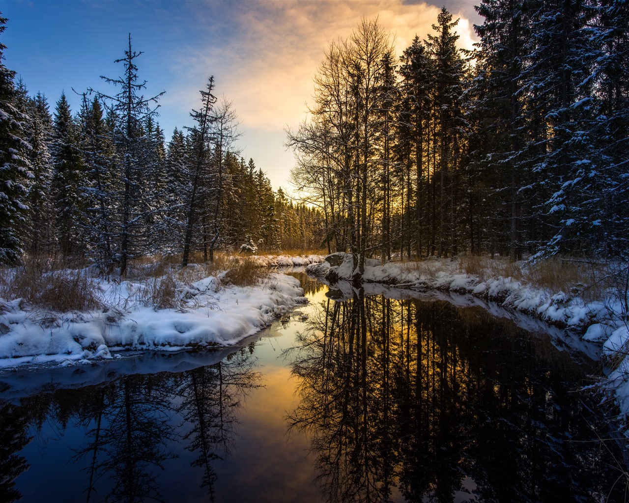 Wallpaper Snow, winter, forest, trees, river, morning 5120x2880 UHD 5K Picture, Image
