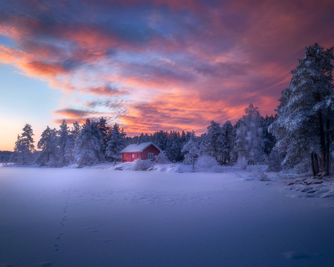 Wallpaper Winter, forest, house, snow, clouds, dusk 1920x1200 Picture, Image