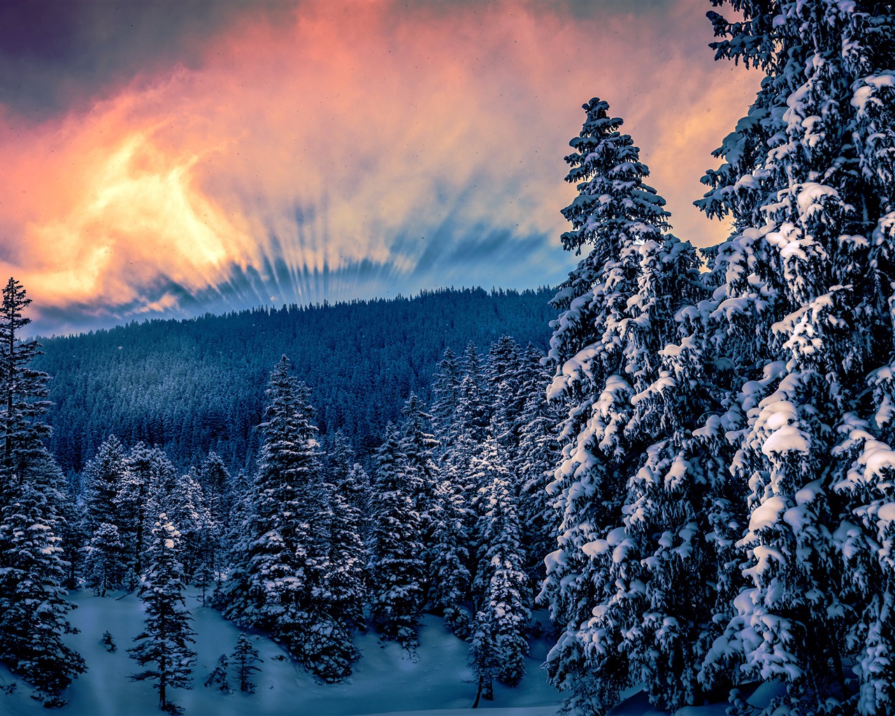 Wallpaper Winter, forest, trees, snow, clouds, sky, sun rays 3840x2160 UHD 4K Picture, Image