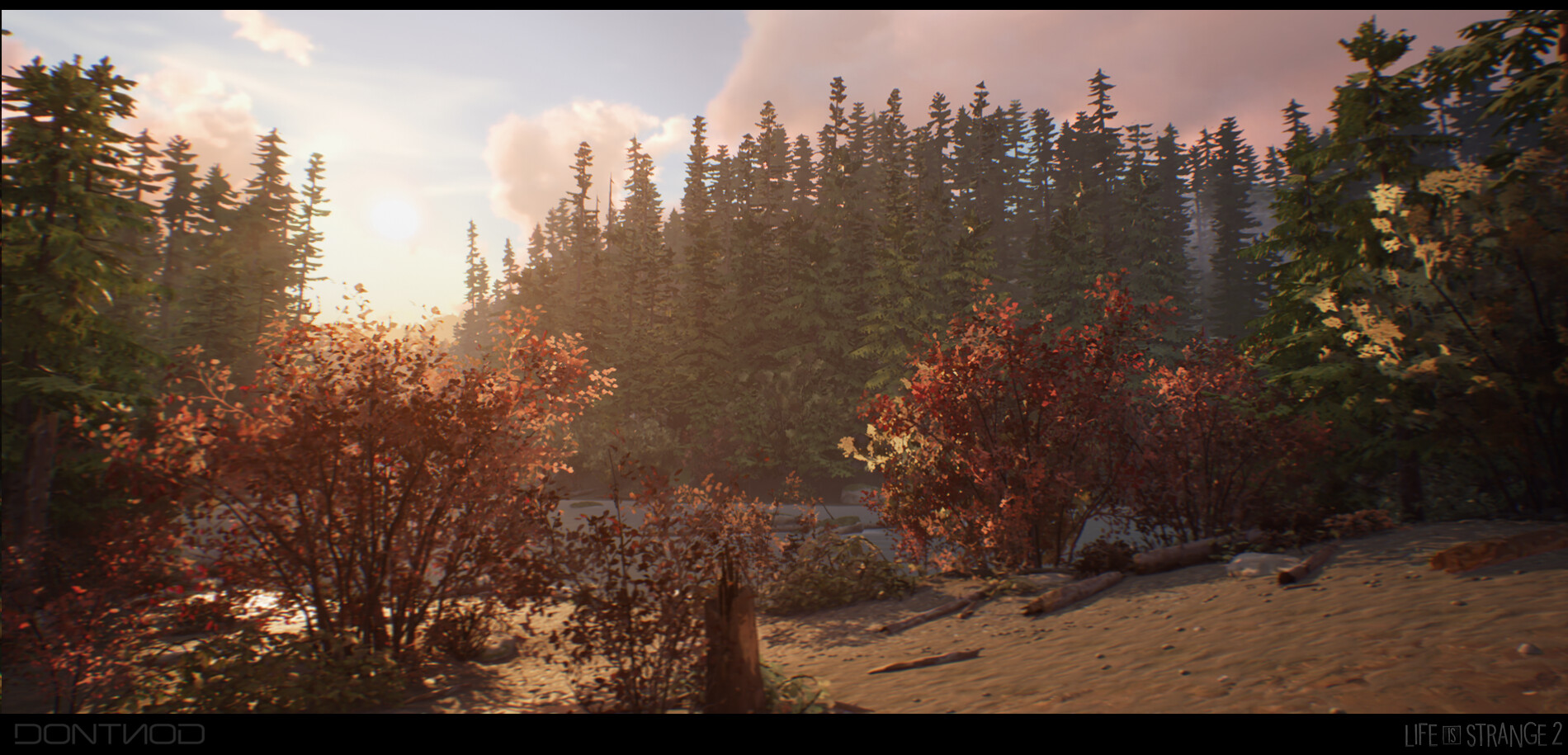 Life Is Strange 2 // Forest Shelter Area