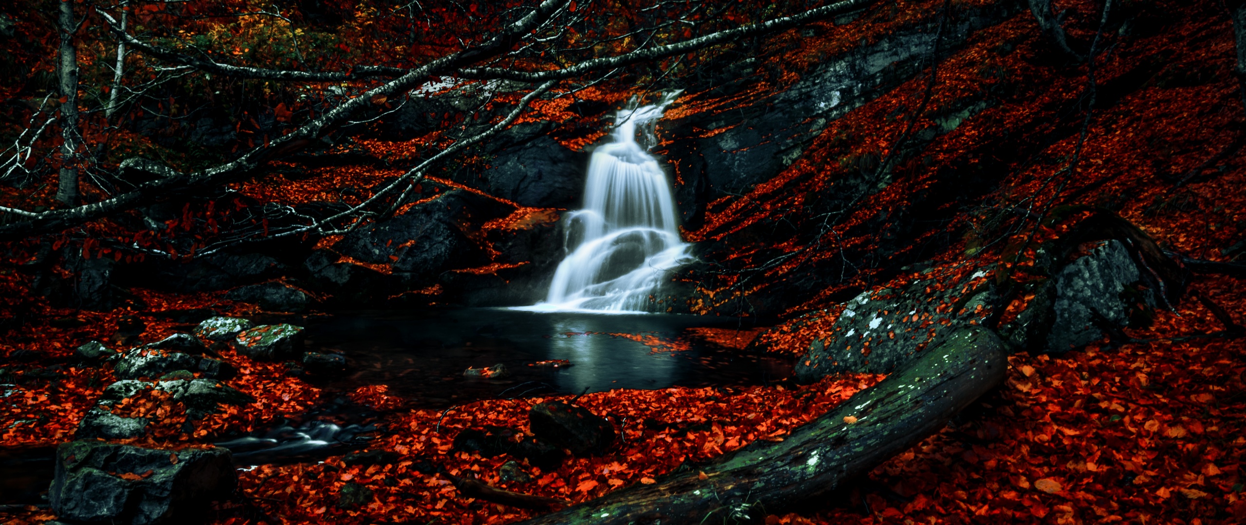 Waterfalls Wallpaper 4K, Autumn, Dark Forest, Foliage