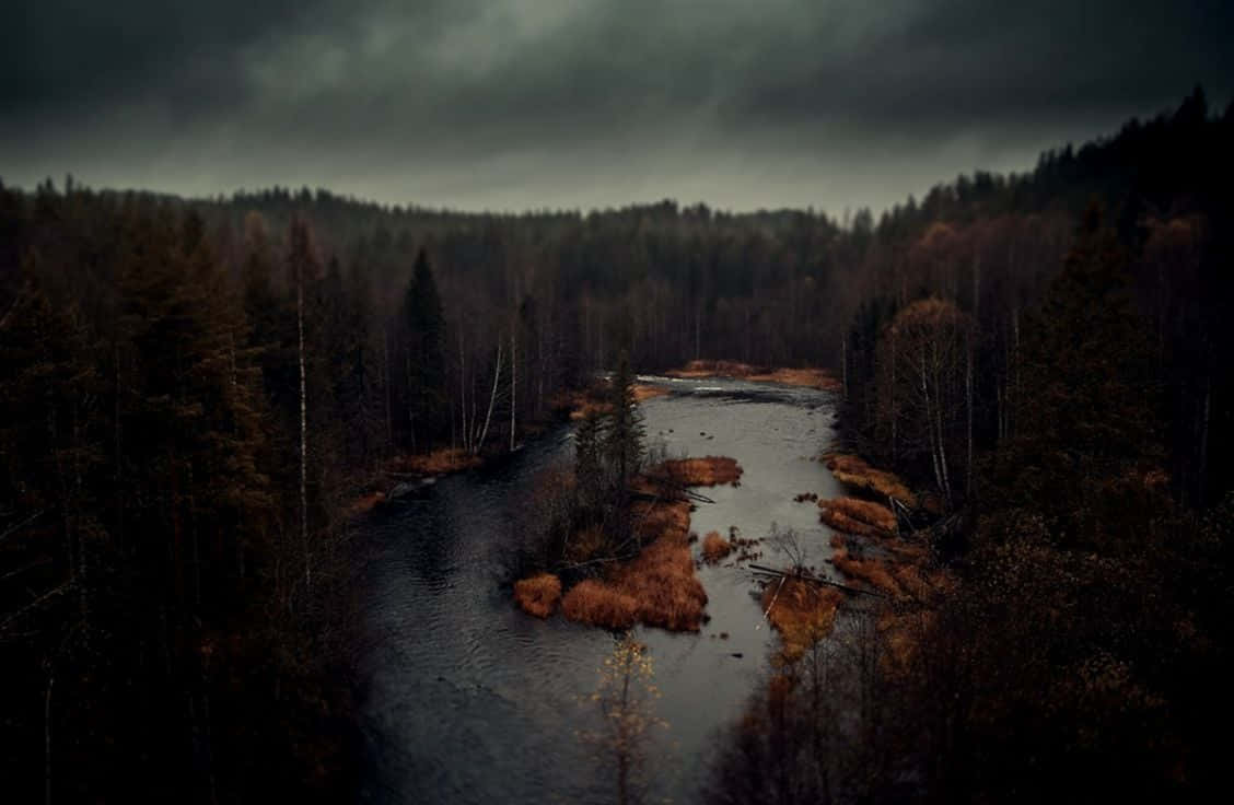 Download Dark Autumn Forest By The Swamp Wallpaper