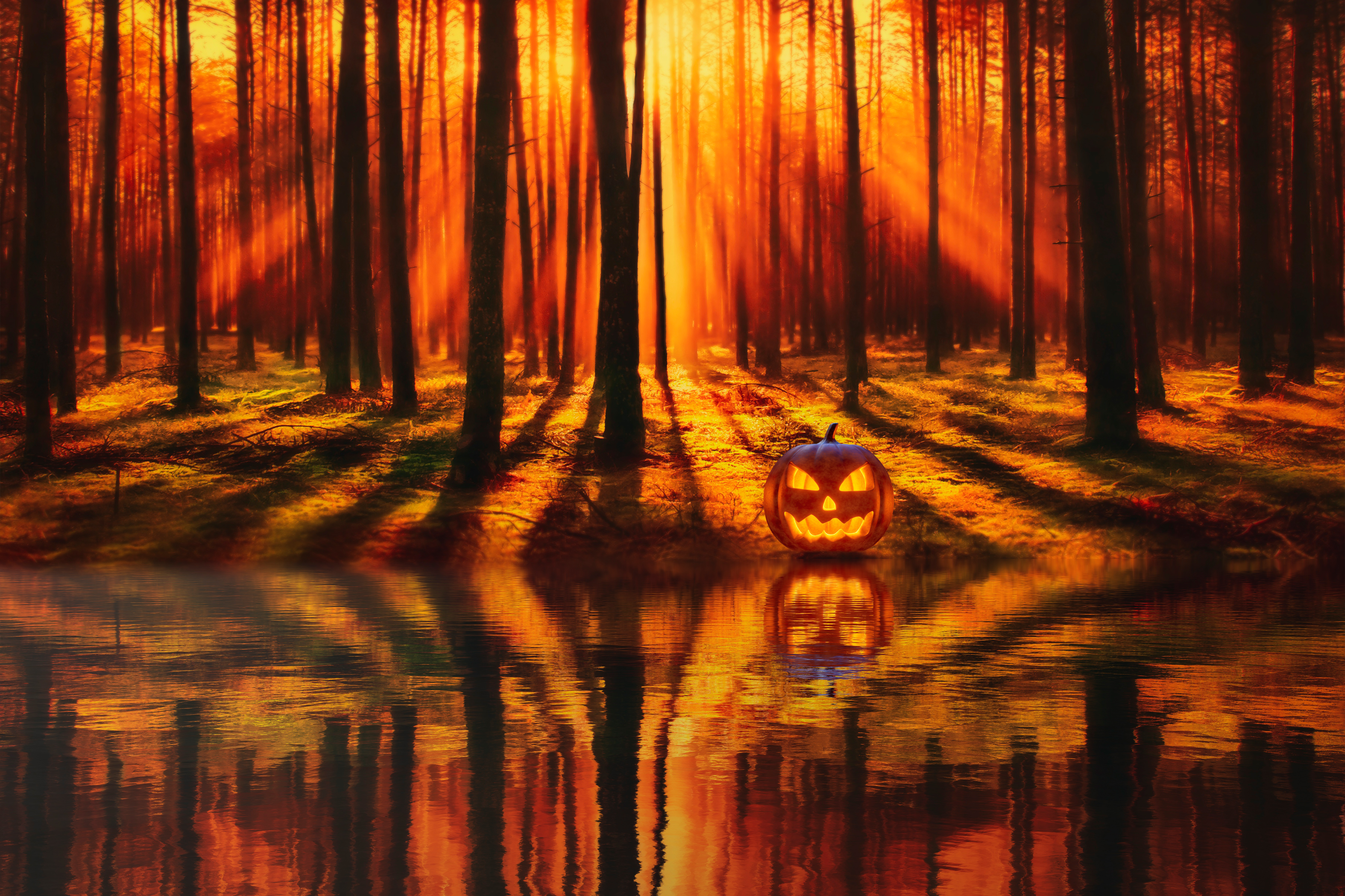 Jack O' Lantern Wallpaper 4K, Halloween Pumpkin, Forest, Lake