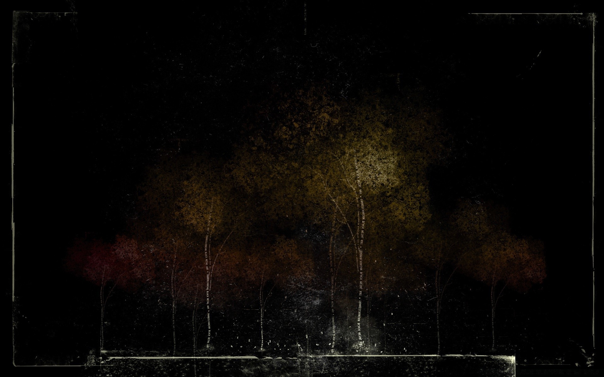 Dark autumn forest in a haze