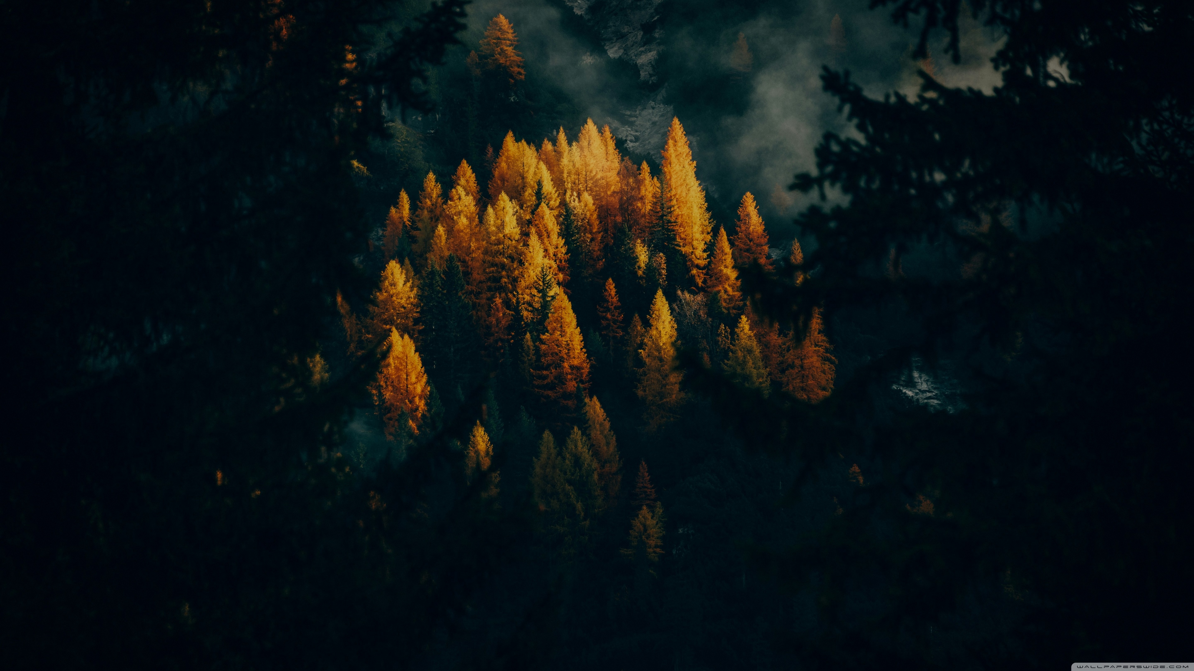 Exploring the Wilderness Autumn 4K UHD Wallpaper for UltraHD Desktop and TV, Widescreen and UltraWide Display, Dual and Triple Monitor, Smartphone and Tablet Devices