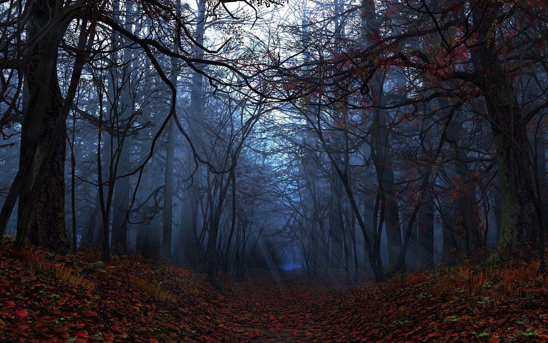 Evening autumn landscape with leaves and trees