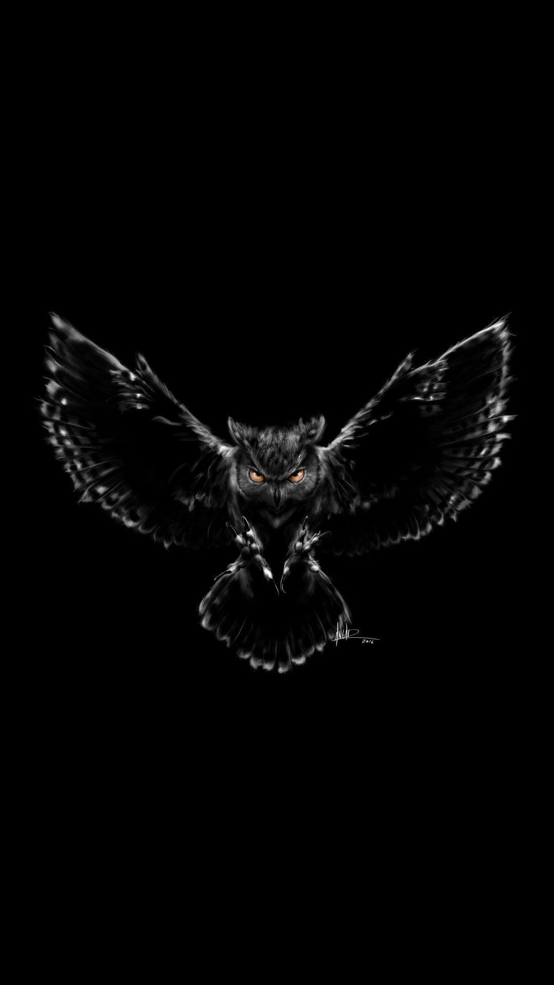 Black Owl Wallpaper