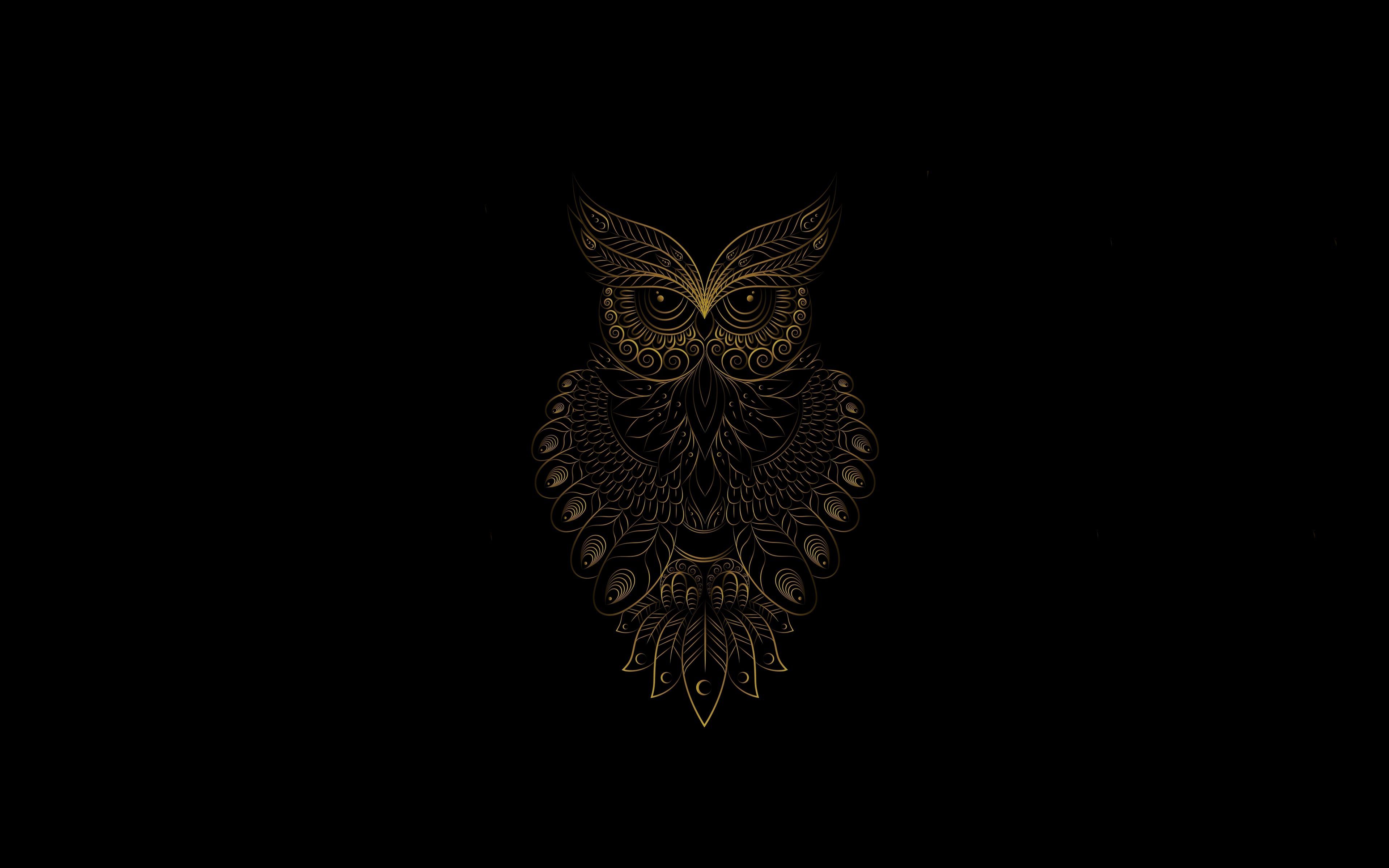 Dark Owl Wallpaper, HD Dark Owl Background on WallpaperBat