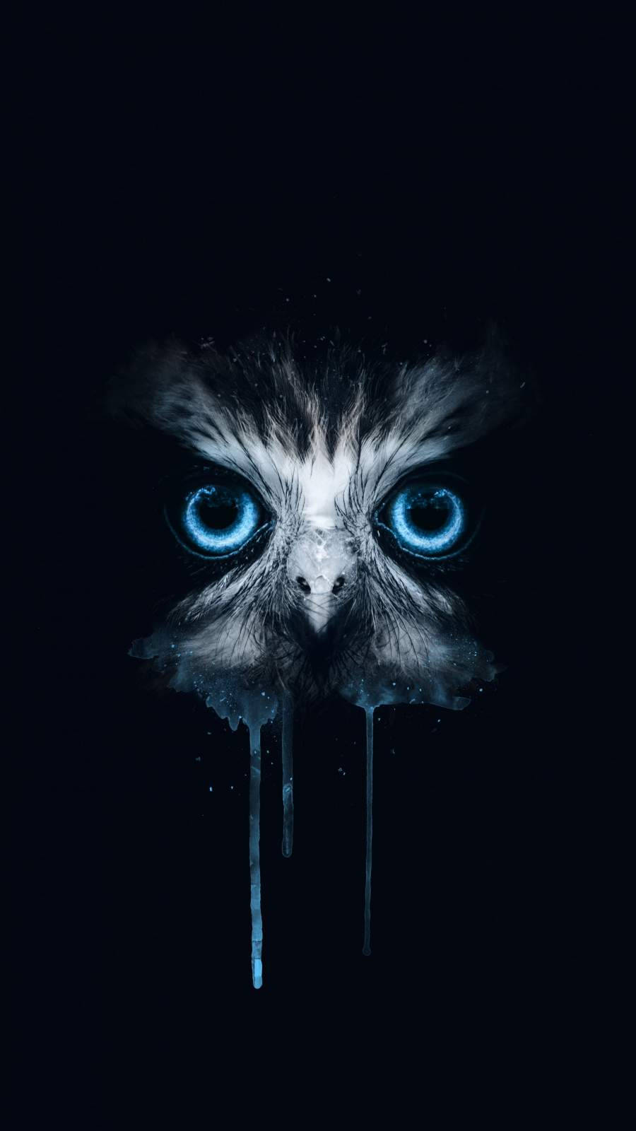 Download An Owl With Blue Eyes On A Black Background Wallpaper