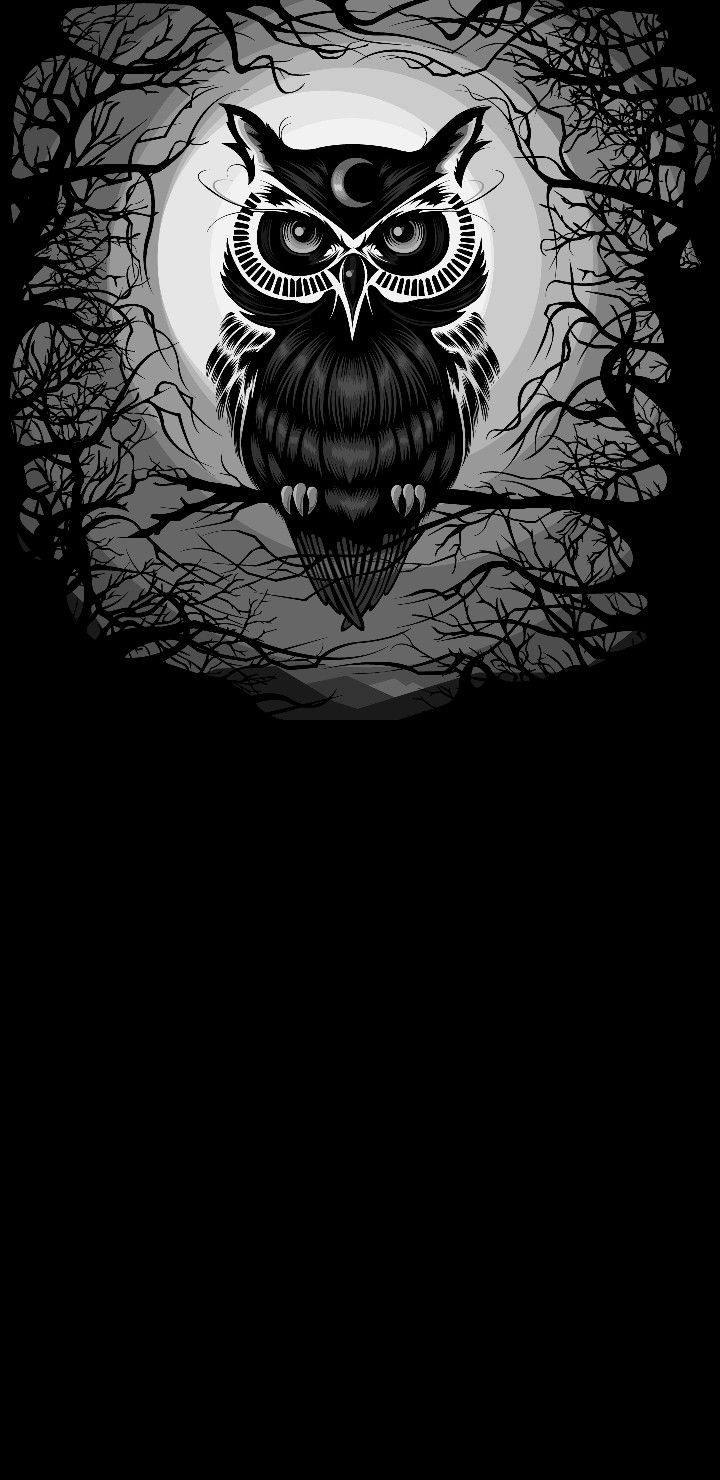 Amoled owl