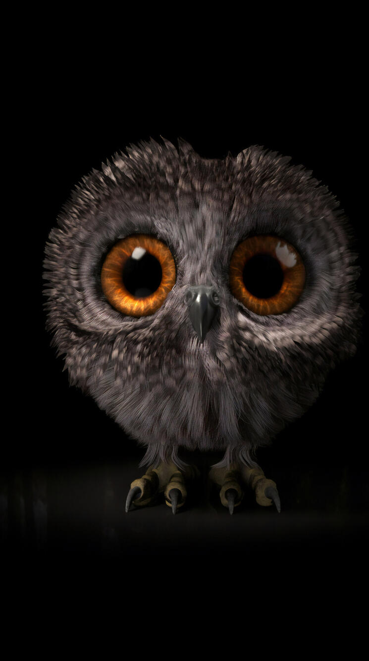 Cute owl on a dark background · 750x1334 iPhone 6, 6S, 7, 8 free photo from uaha and wallpaper