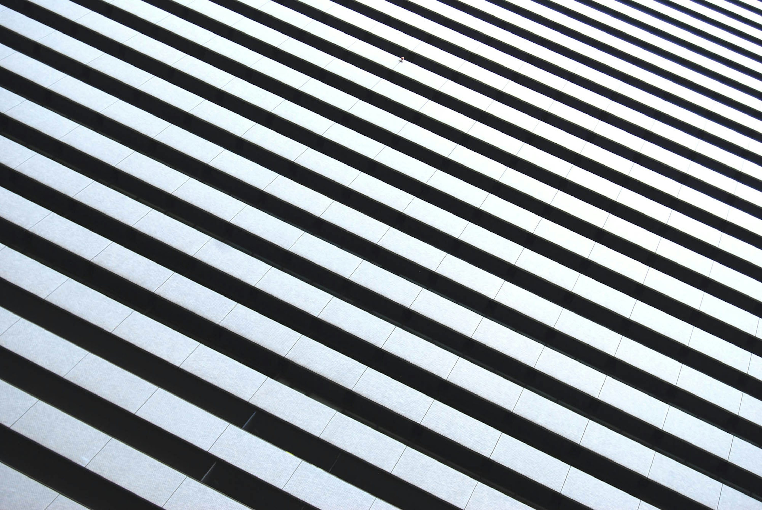 Black And White Stripes Picture. Download Free Image
