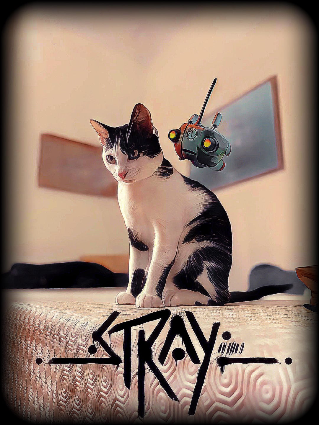 I made a wallpaper with my cat (his name is Stray too)