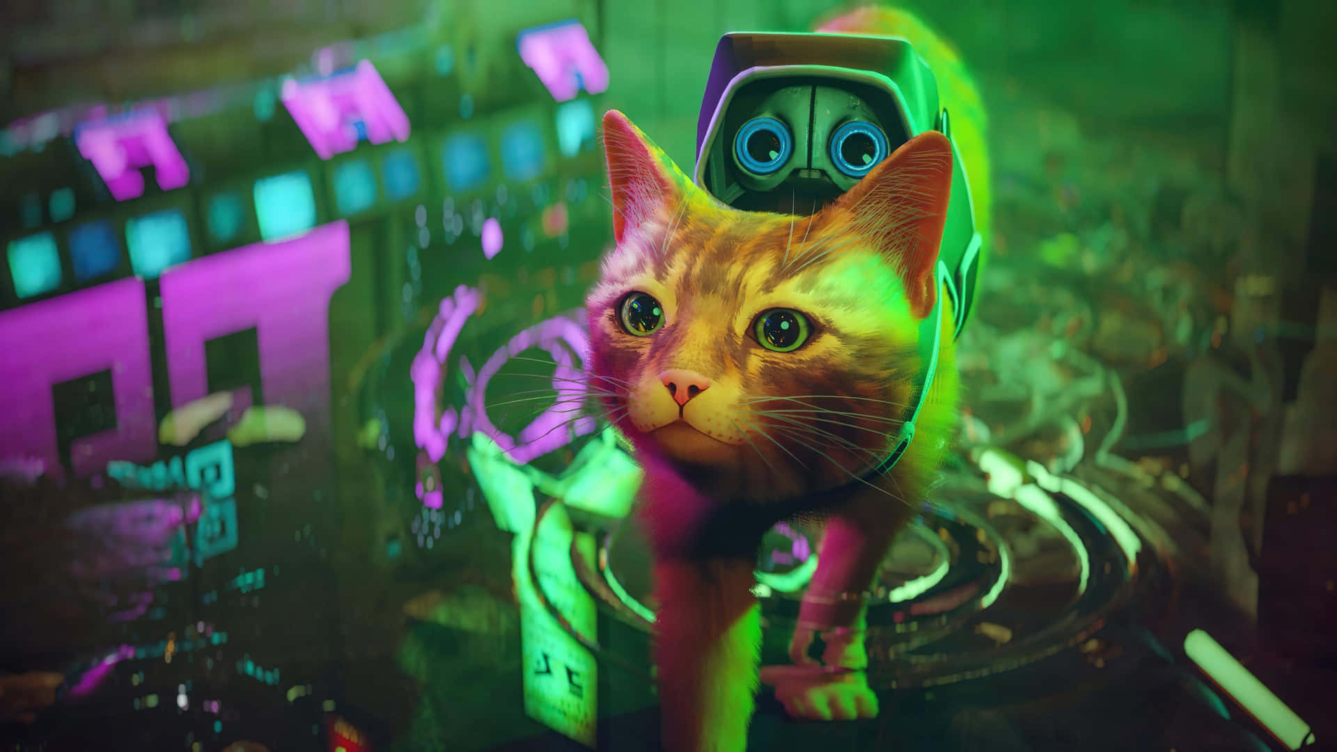 Download Stray Game Cyber Cat Adventure Wallpaper