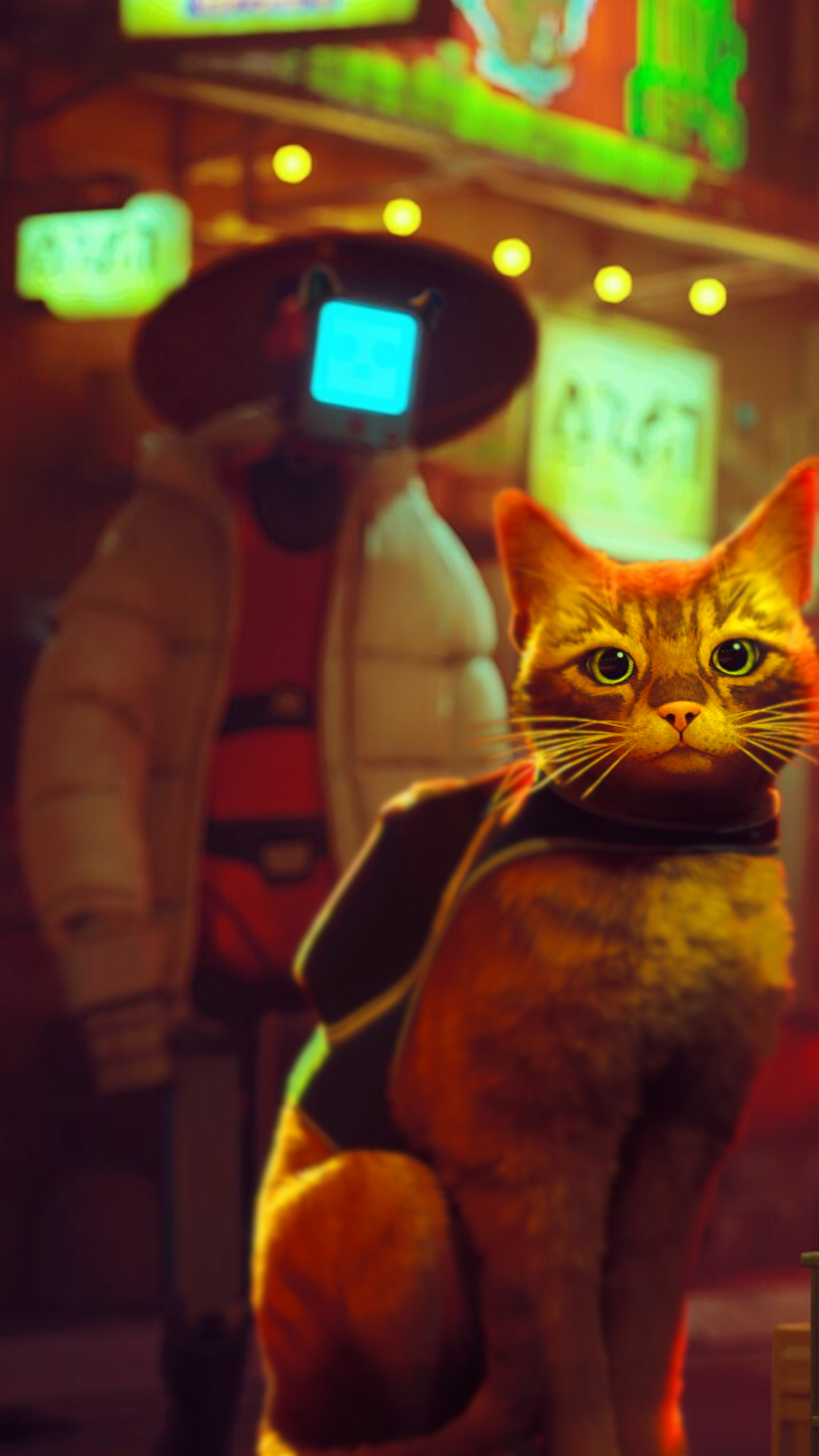 I'm loving playing the Cat Game so I made this phone wallpaper (Feel free to use)