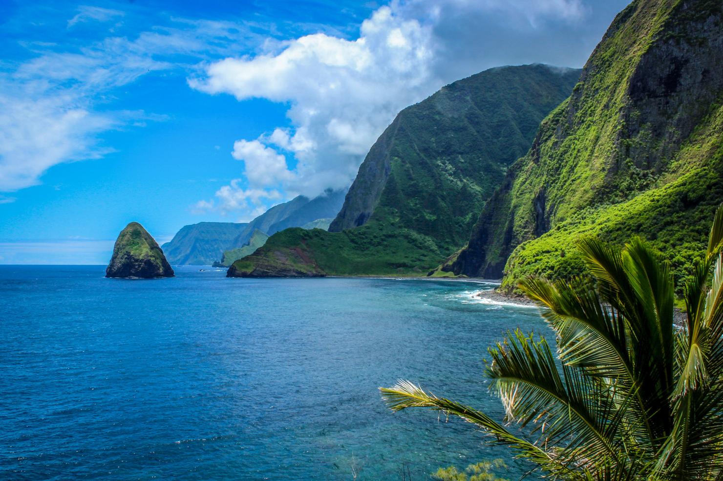 KALAUPAPA TRAIL'I. The Hiking HI