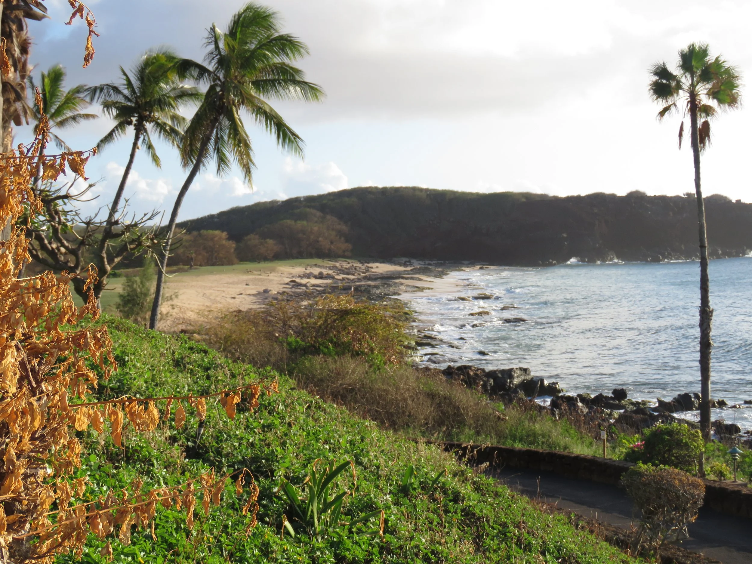 MOLOKAI: Hawaiian By Nature