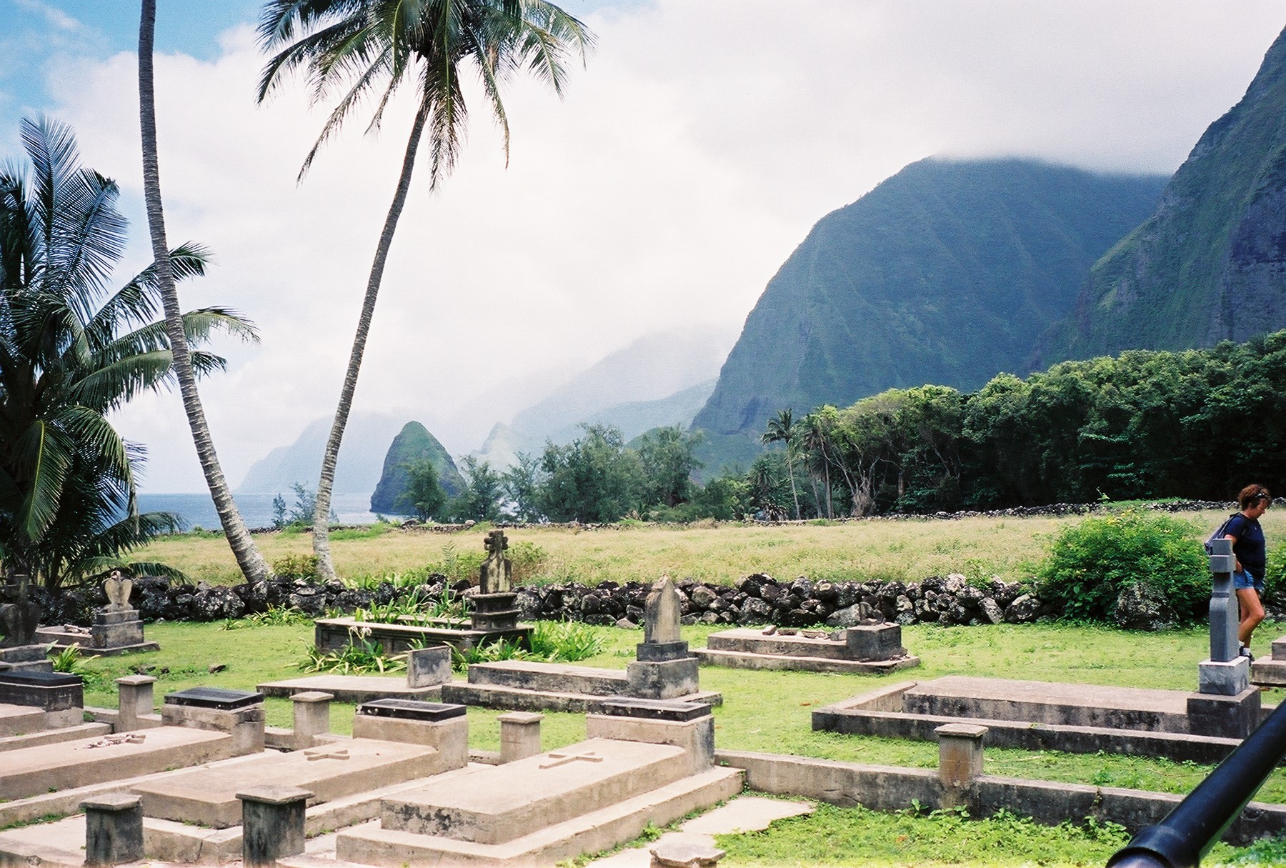 Moloka'i Mule Ride Photo. Kalaupapa and Damien Tour