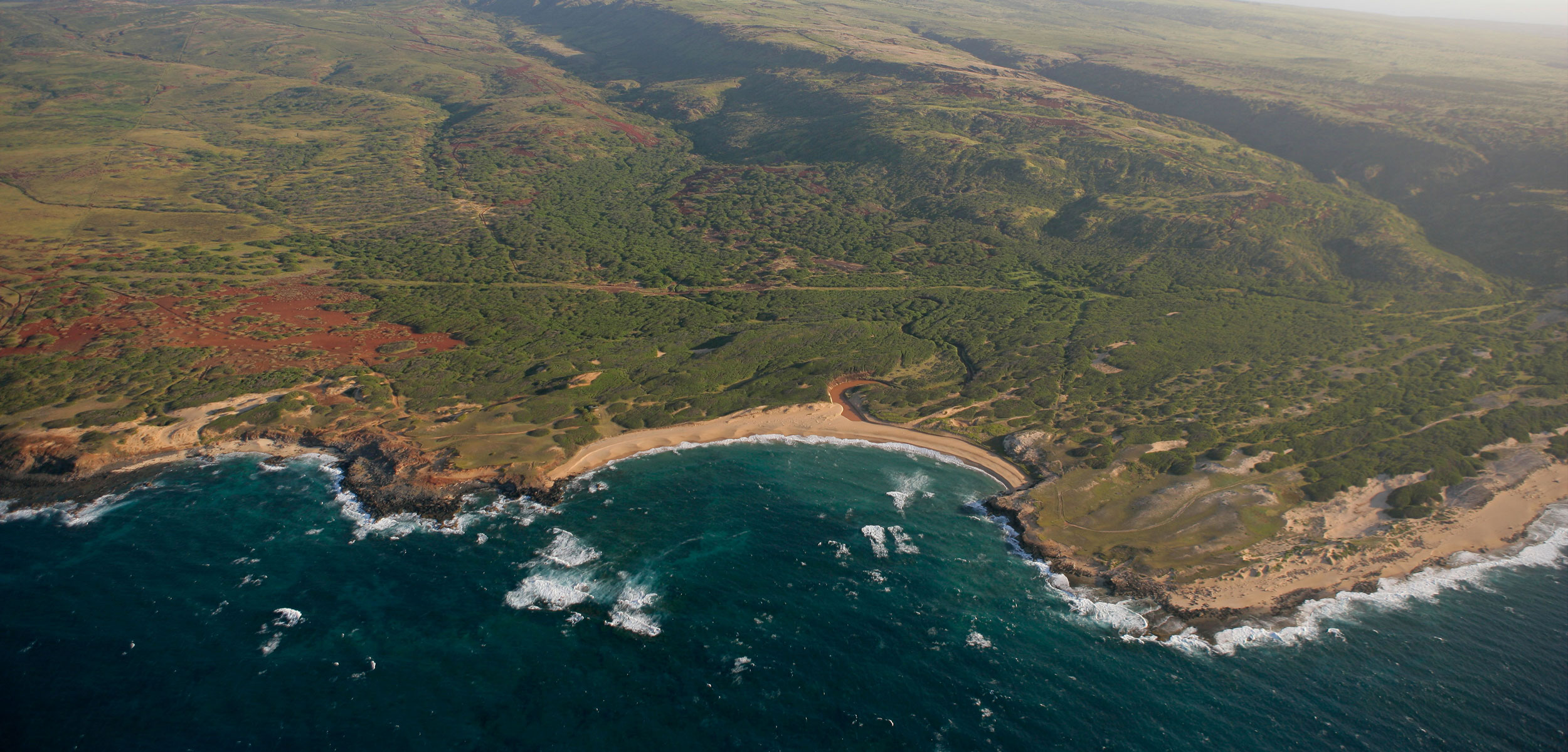 Life in the Last Dunes of Hawai'i