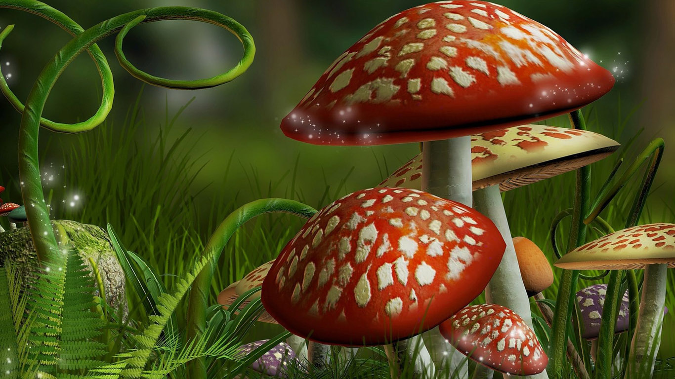 Mushroom Background Wallpaper 16794