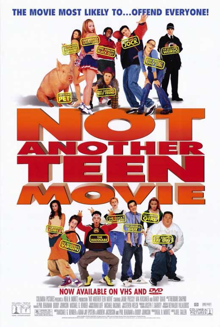 Not Another Teen Movie Movie Poster Print (11 x 17) # MOVGE9313