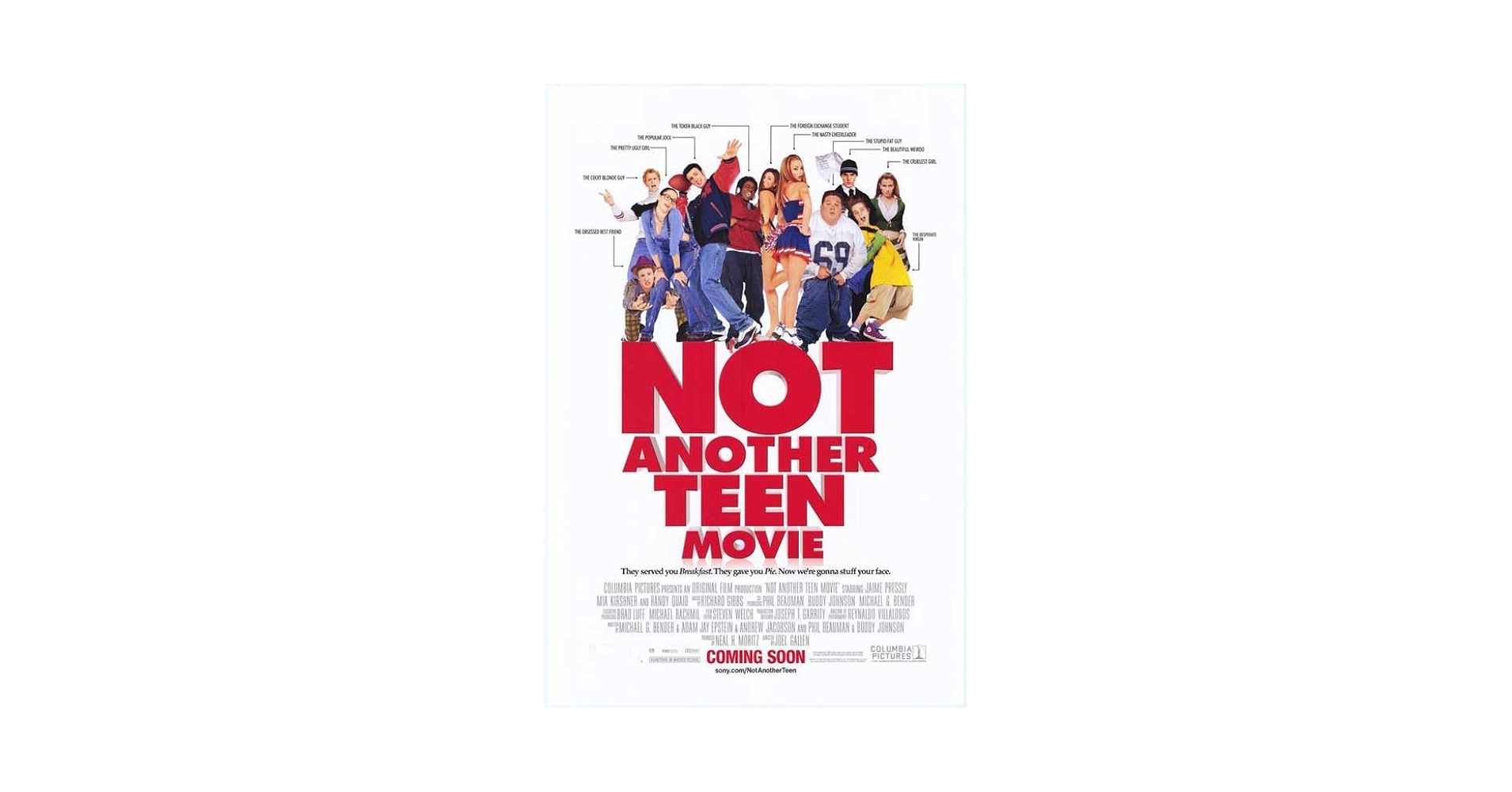 Not Another Teen Movie Movie Poster Print (11 x 17): Posters & Prints