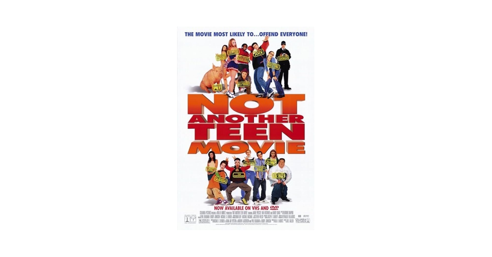 Not Another Teen Movie Movie Poster (11 x 17): Posters & Prints