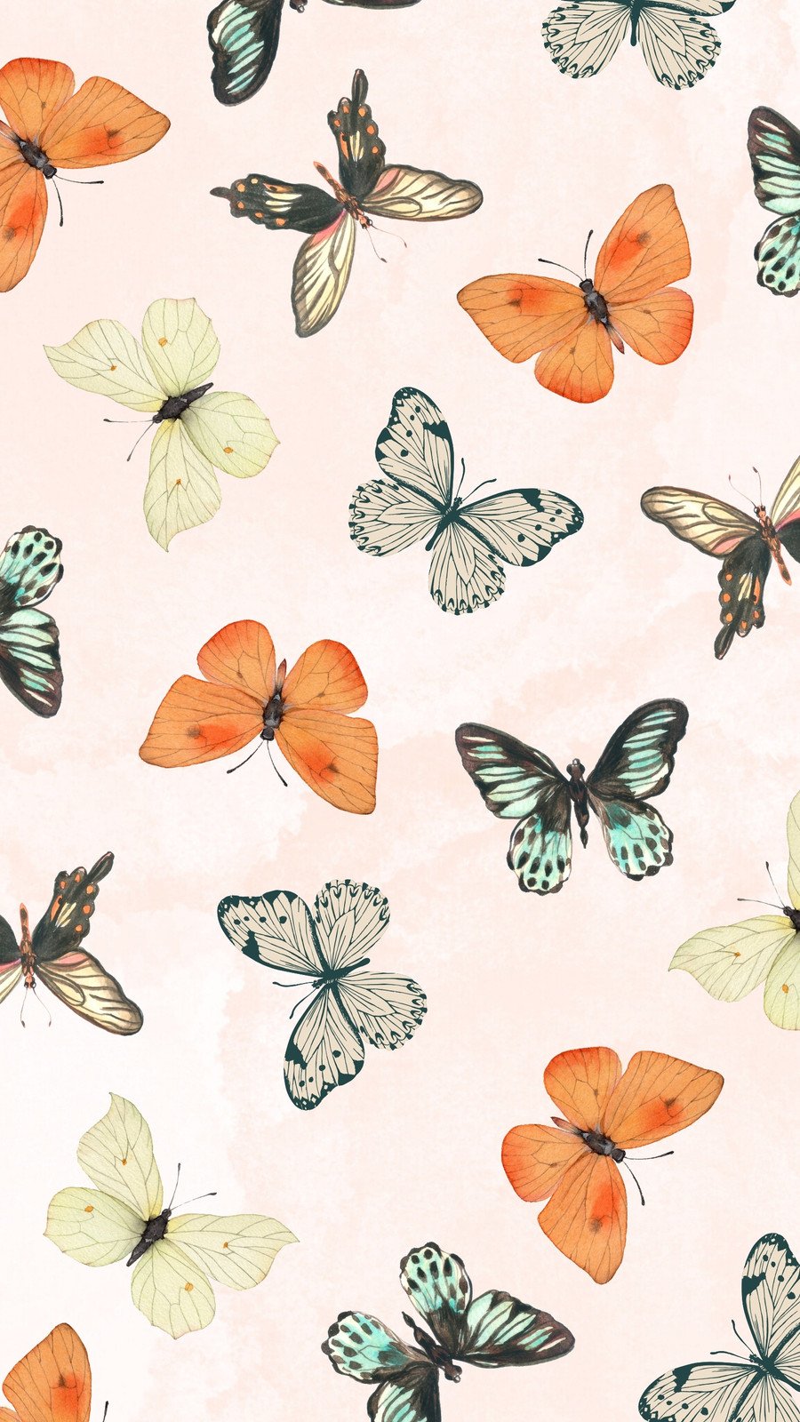 butterfly wallpaper